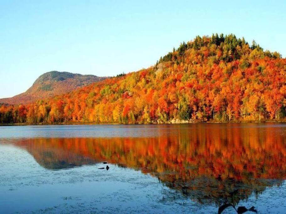 *Nouveauté* Foyer au bois, Plage, Montagne et + Magog Extérieur photo